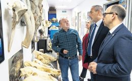 İstanbul’da filler bizonlar dolaşırdı
