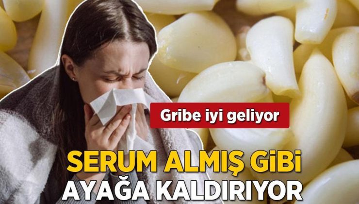 Serum almış gibi hemen ayağa kaldırıyor! 1 günde gribi yok eden karışım