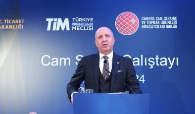 “Sanayinin hane halkını sübvanse ettiği tek ülkeyiz”