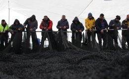 Trabzonlu balıkçılar “Paydos” dedi