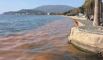 Marmara Denizi alarm veriyor: Müsilaj geri gelecek!