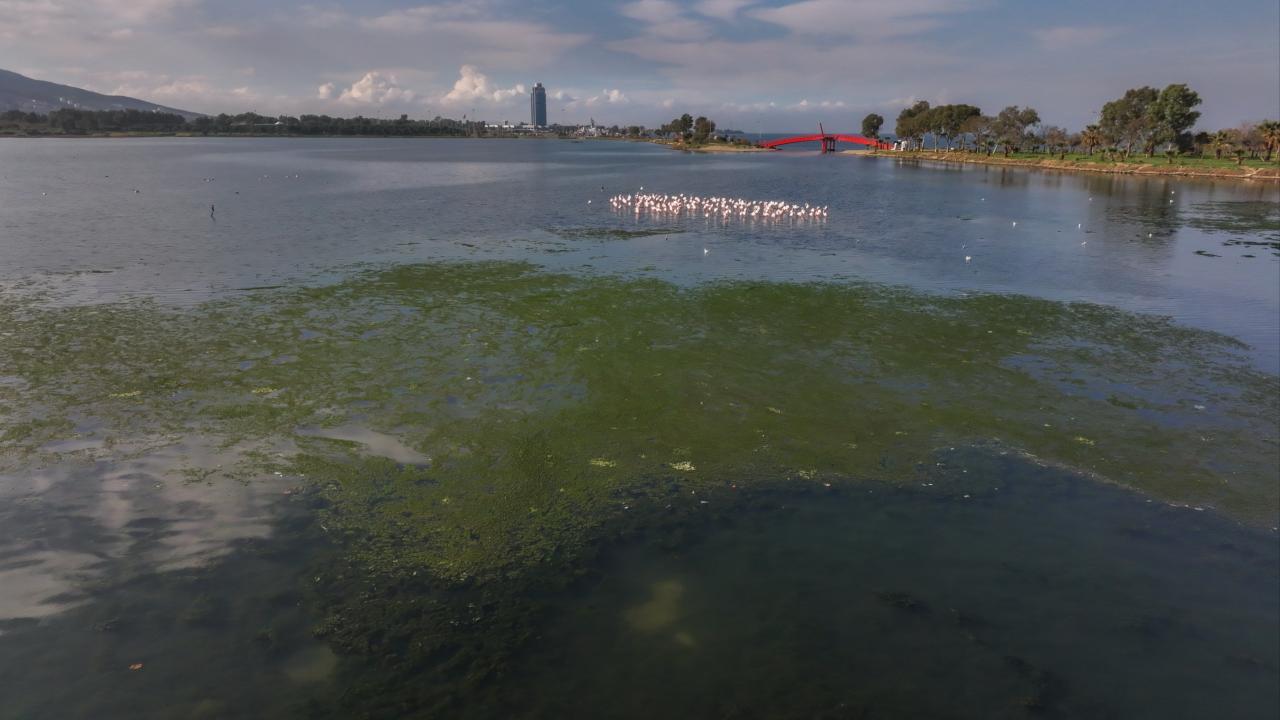 İzmir Büyükşehir Belediyesine 1 milyon 858 bin lira “çevre” cezası
