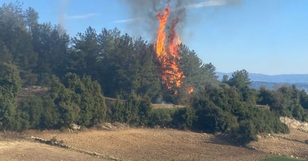 Kahramanmaraş’ta ormanlık alanda çıkan yangın söndürüldü